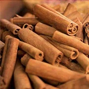 Cinnamomum cassia