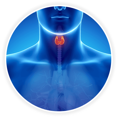Thyrovanz Benefits